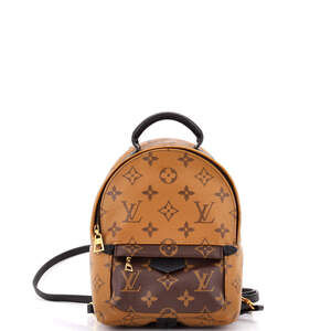 Louis Vuitton Palm Springs Backpack #220749L21B